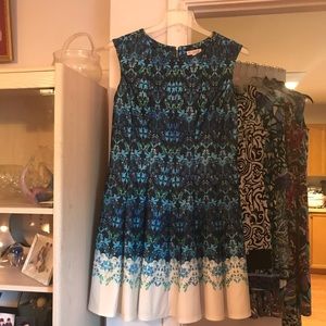 Beautiful Dress Barn dress